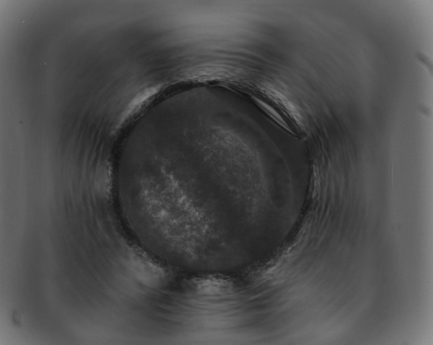 X0000092320400200709141417