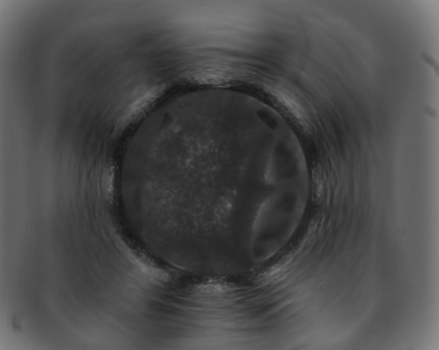 X0000092320404200709141417