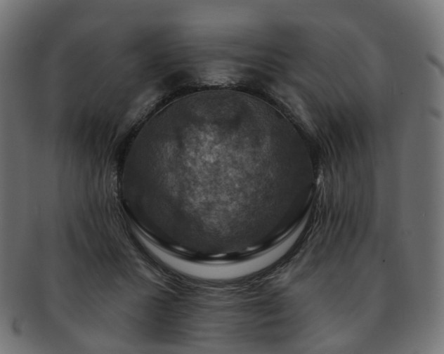 X0000092320407200709141417