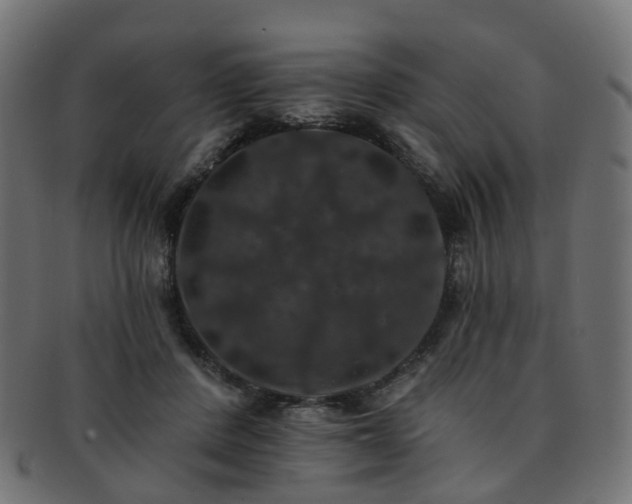 X0000092320408200709141417