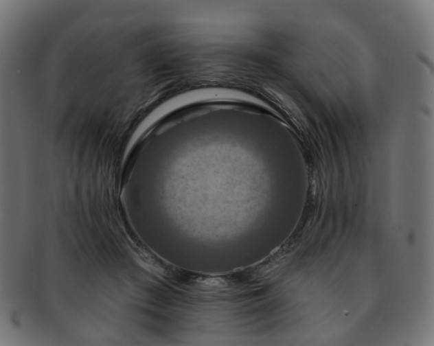 X0000092320409200709141417