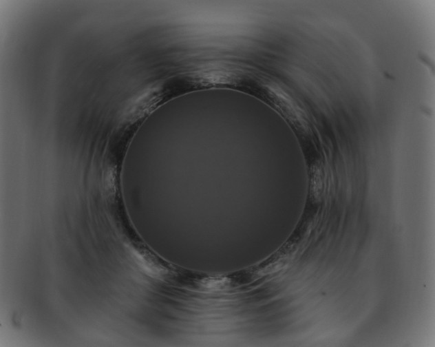 X0000092320410200709141417