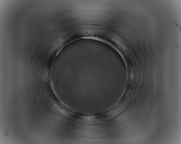 X0000092320411200709141417
