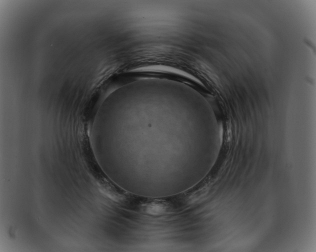 X0000092320412200709141417