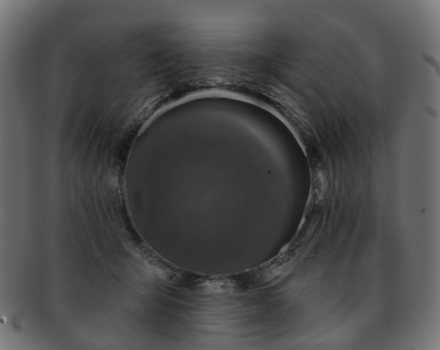 X0000092320415200709141417