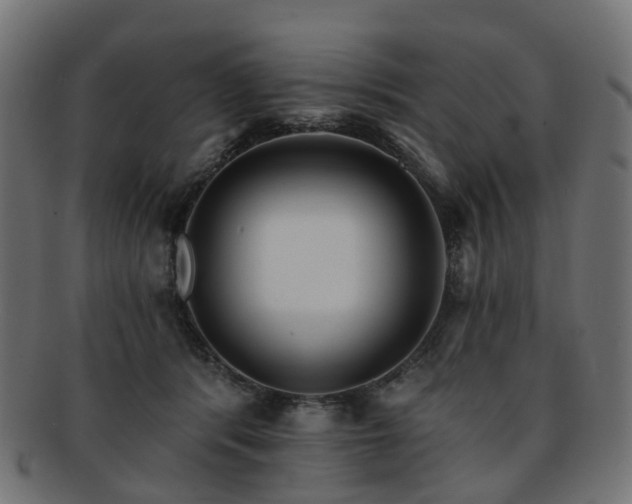 X0000092320416200709141417
