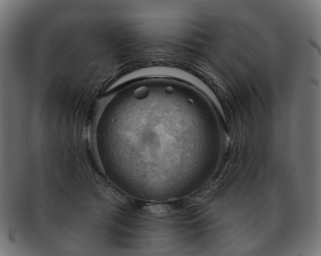 X0000092320417200709141417