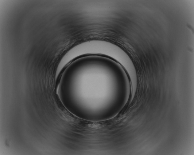 X0000092320419200709141417