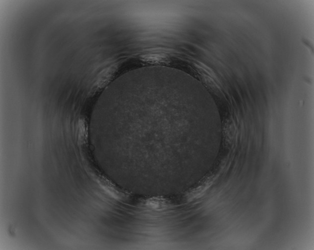 X0000092320420200709141417