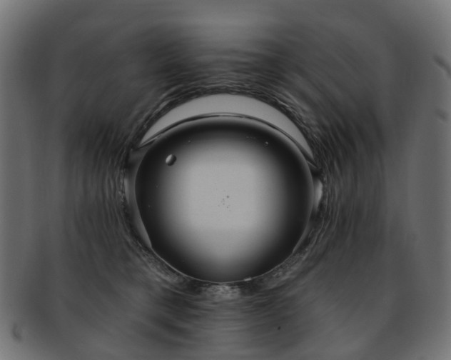 X0000092320421200709141417