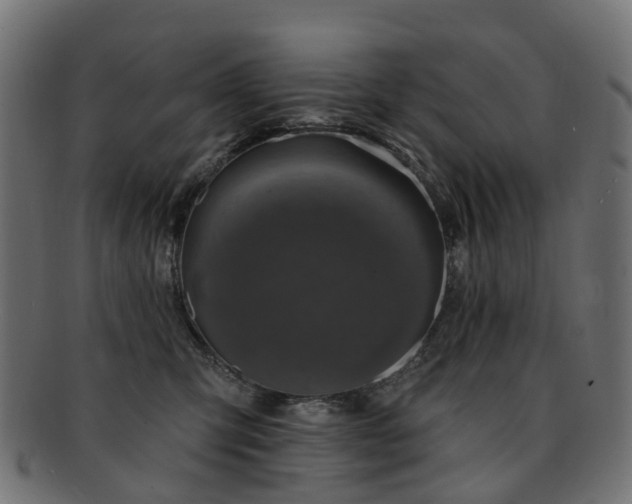 X0000092320423200709141416