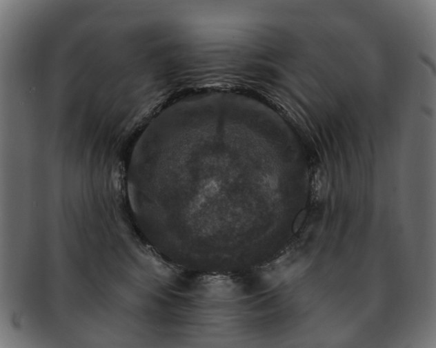 X0000092320424200709141416