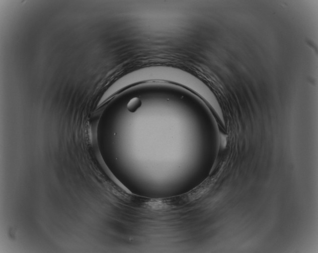 X0000092320425200709141416
