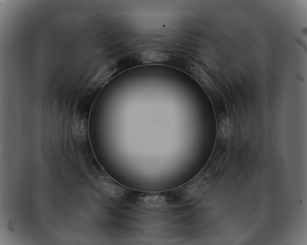 X0000092320426200709141416