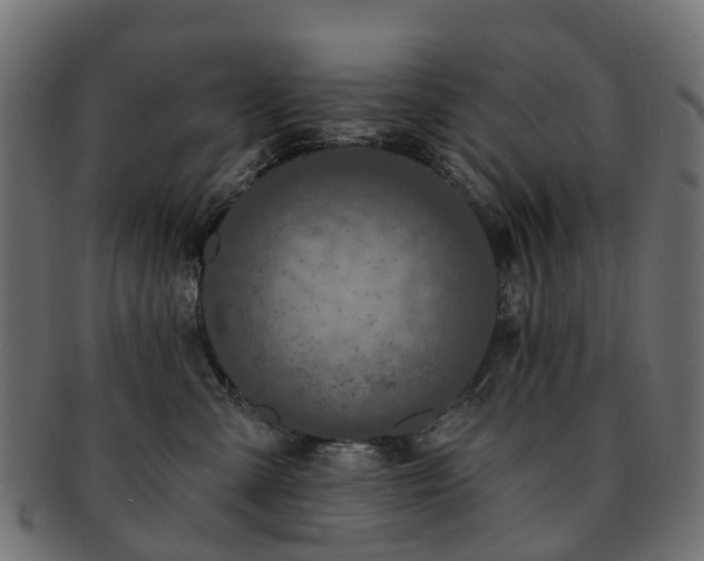 X0000092320427200709141416