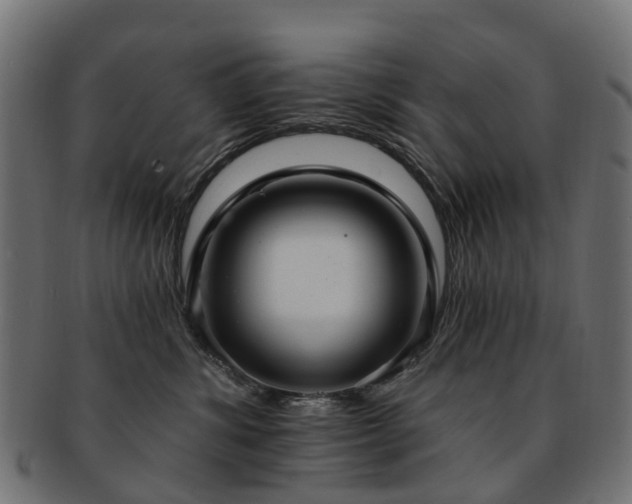 X0000092320428200709141416
