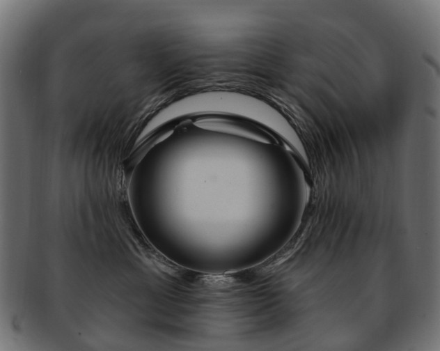 X0000092320429200709141416