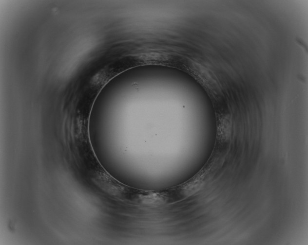 X0000092320430200709141416