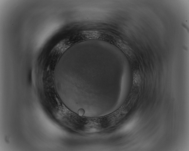 X0000092320431200709141416