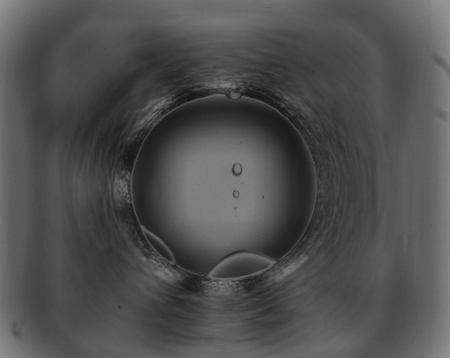X0000092320432200709141416