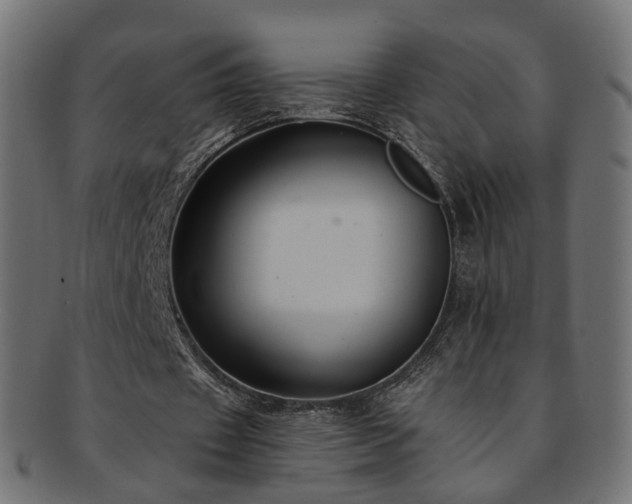 X0000092320433200709141416