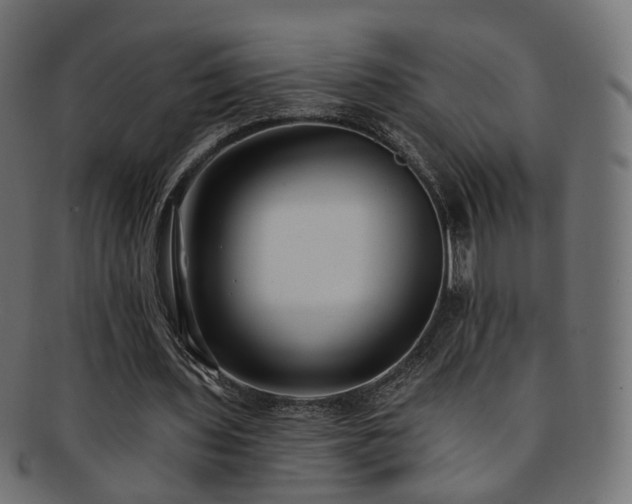 X0000092320435200709141416