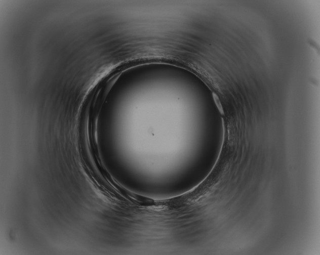 X0000092320436200709141416