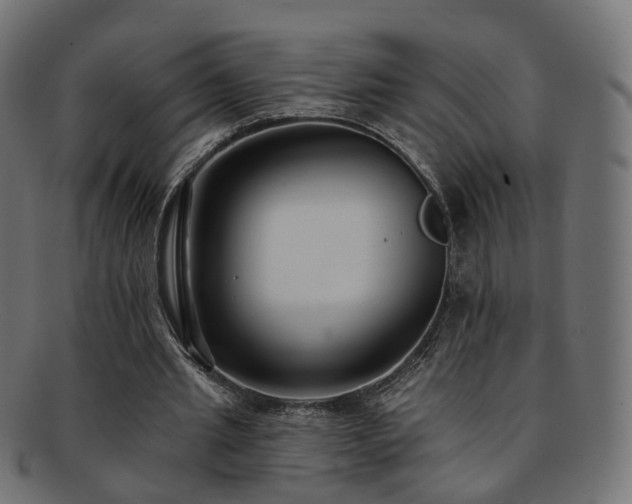 X0000092320437200709141416