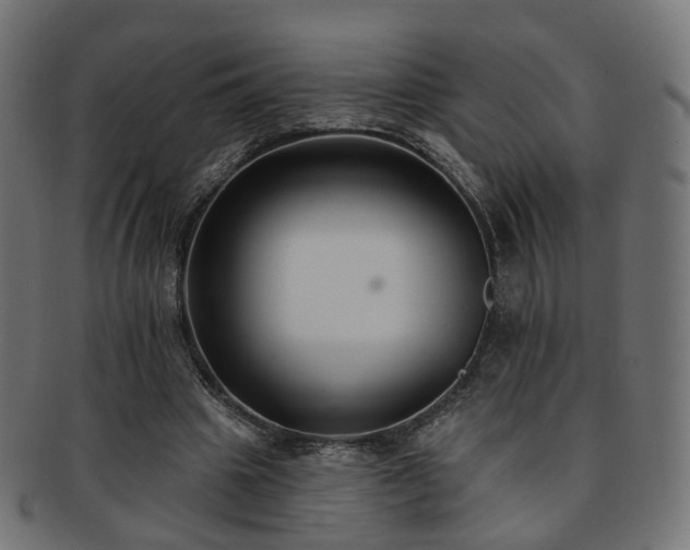 X0000092320441200709141416