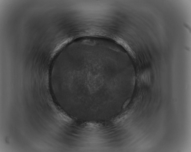X0000092320442200709141416