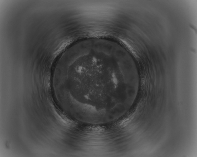 X0000092320443200709141416