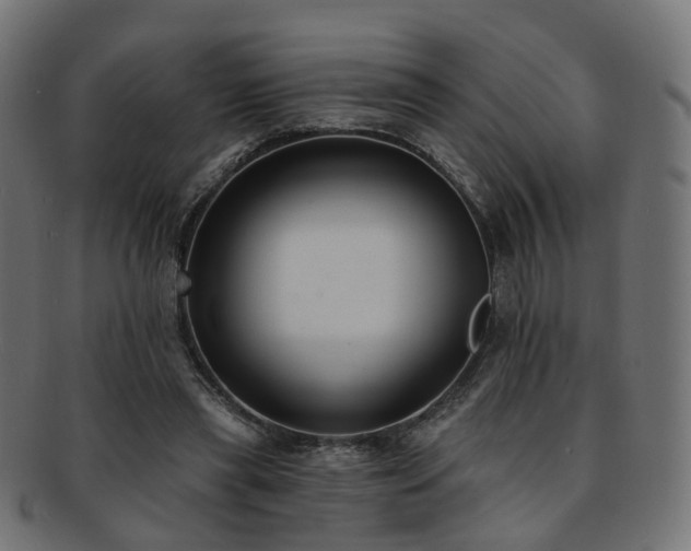 X0000092320445200709141416