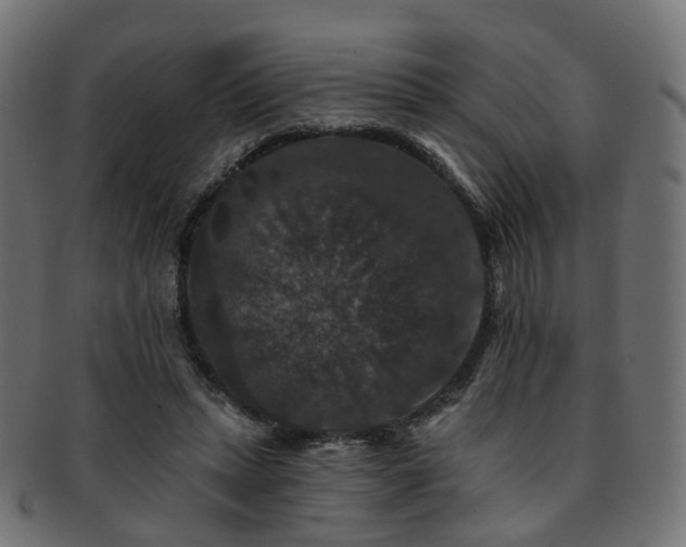 X0000092320447200709141416
