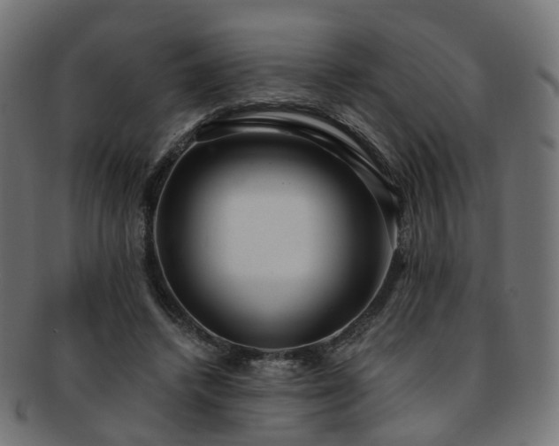 X0000092320448200709141416
