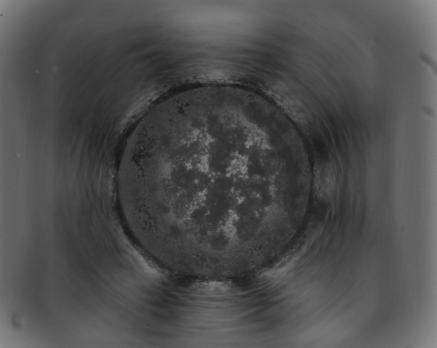 X0000092320449200709141416