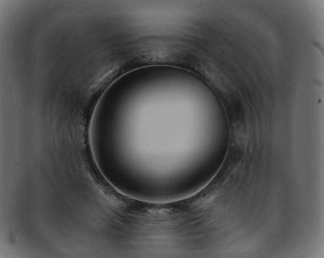 X0000092320450200709141416