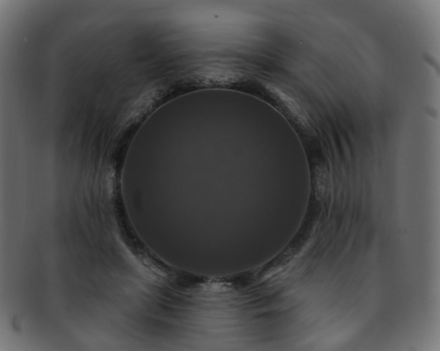 X0000092320451200709141416