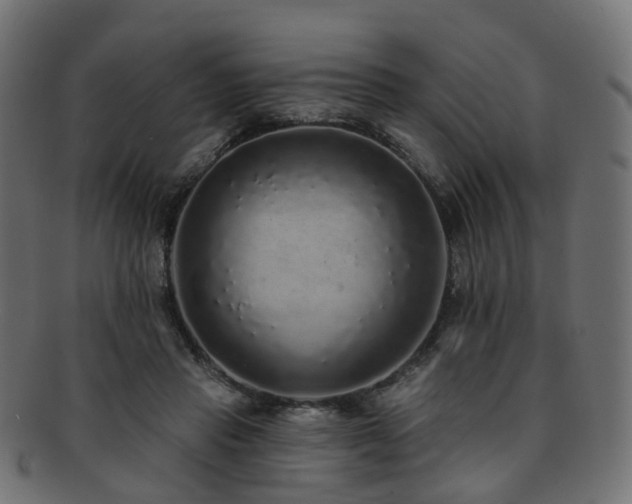 X0000092320453200709141416