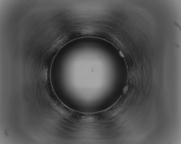 X0000092320454200709141416