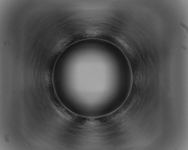 X0000092320455200709141416