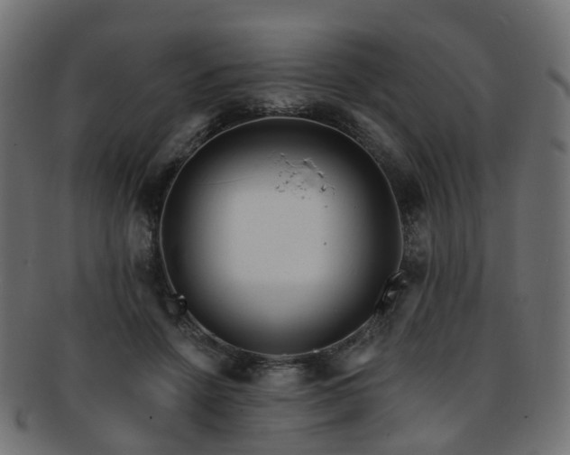 X0000092320456200709141416