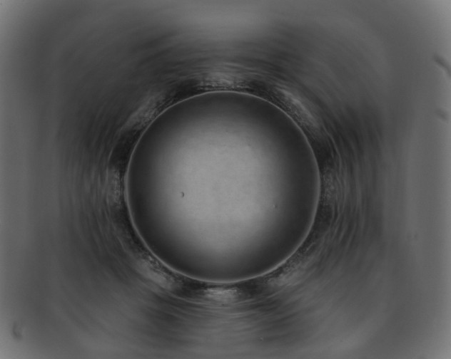 X0000092320457200709141416
