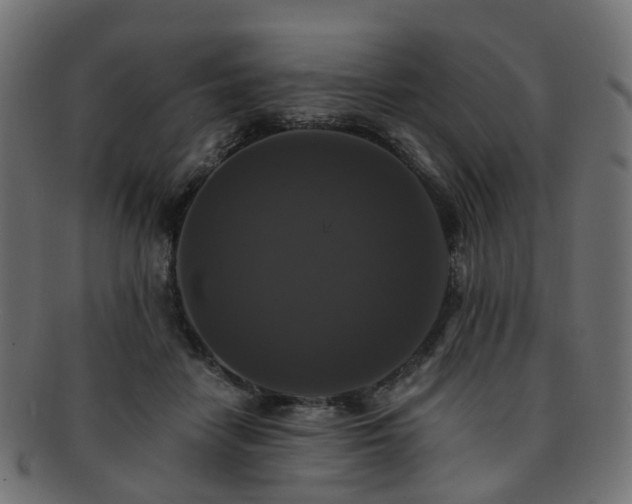 X0000092320458200709141416