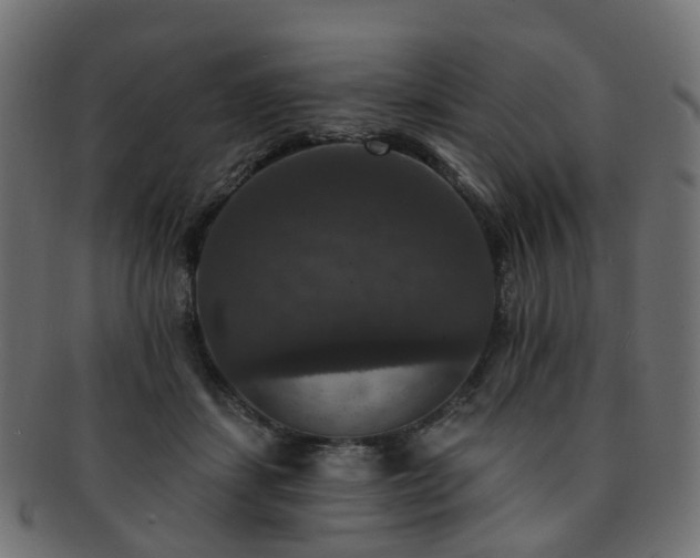 X0000092320459200709141416