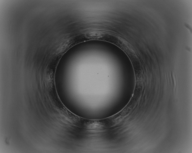 X0000092320460200709141416