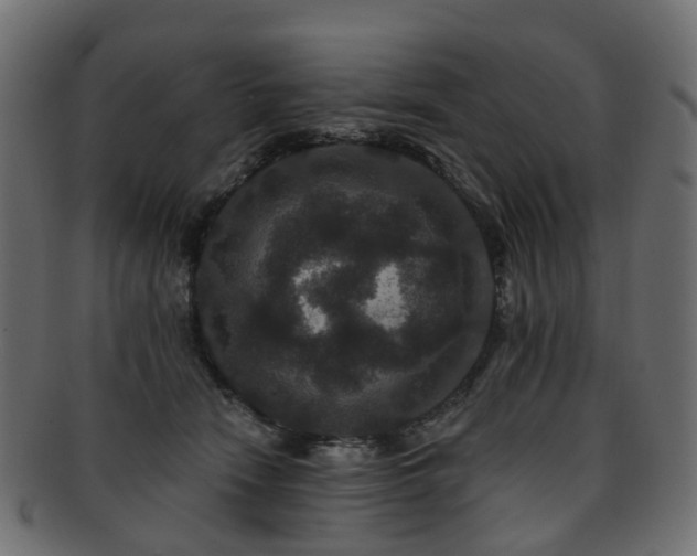 X0000092320466200709141416