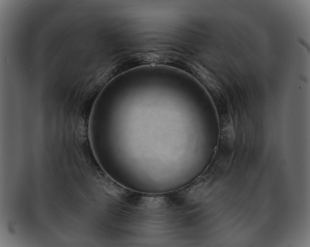 X0000092320469200709141416