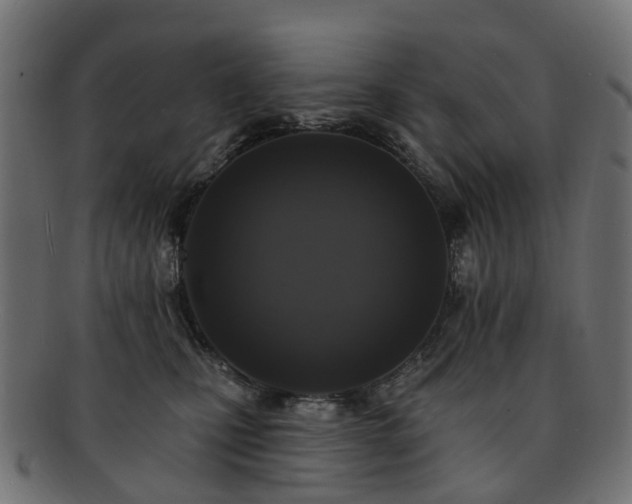 X0000092320471200709141416