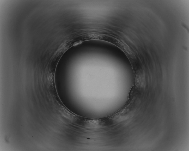 X0000092320473200709141416