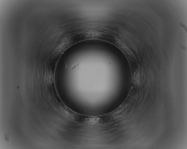X0000092320474200709141416